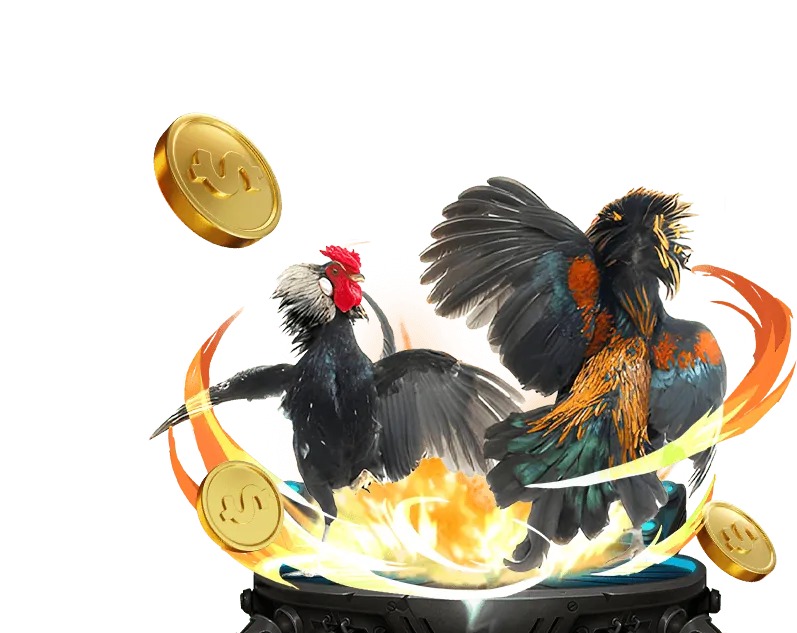 Sân đá gà trực tuyến hi88 fit